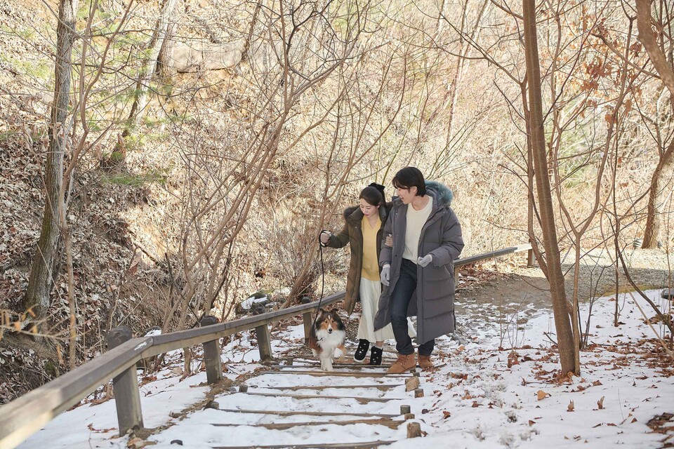 선마을 해피 홀리데이 와인 패키지