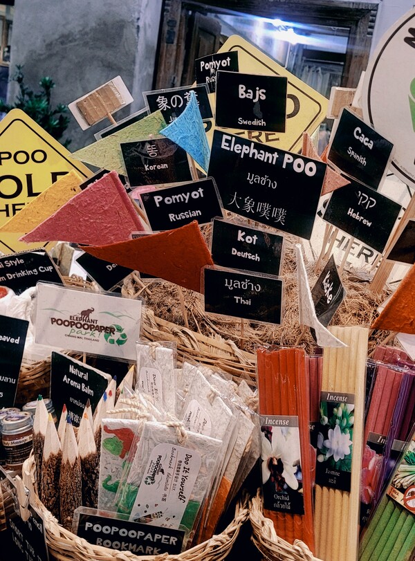 코끼리 똥으로 만든 노트와 엽서.