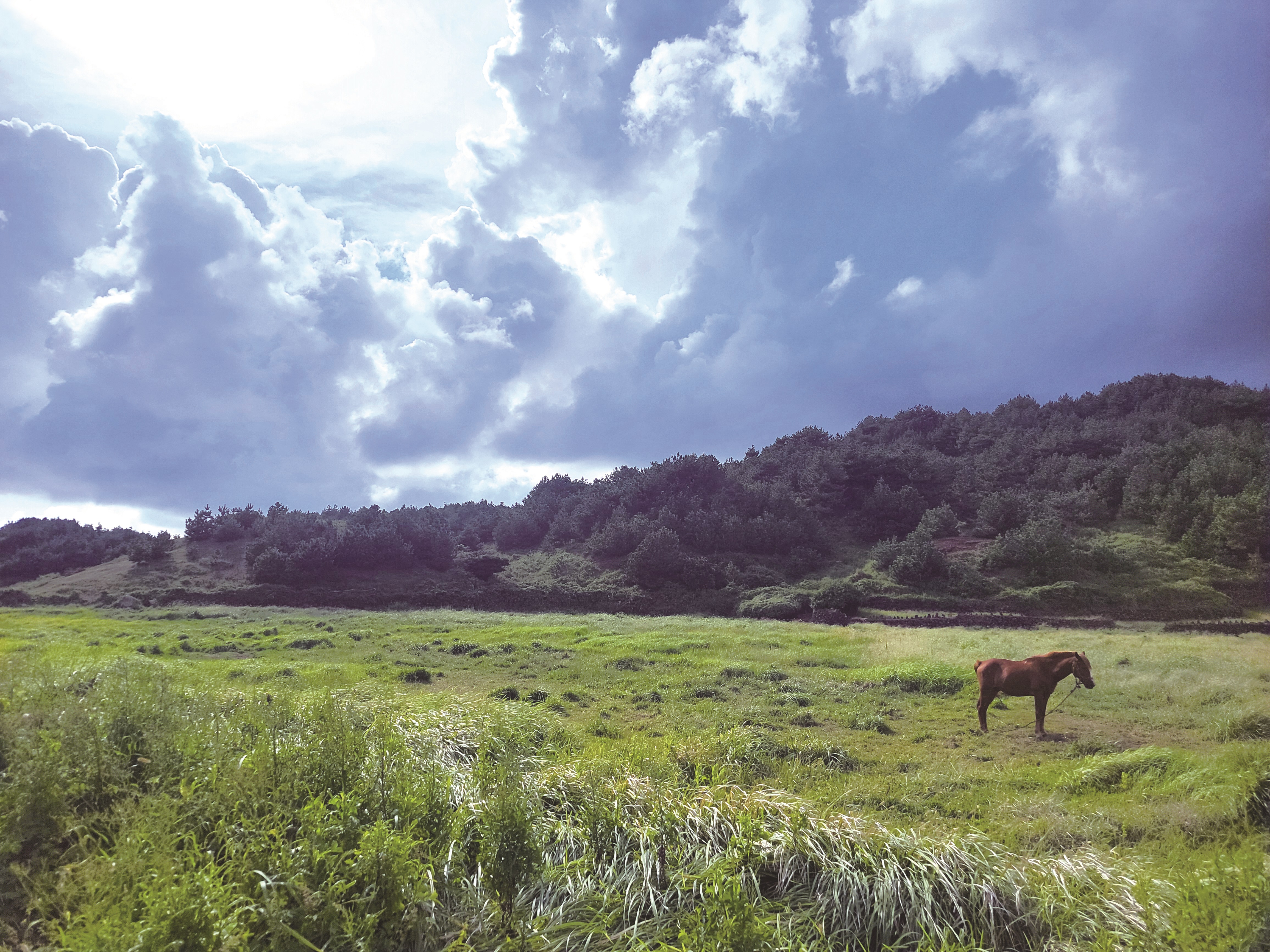 photoⒸImkwangLee 2025 Mt. Songak Jeju Island