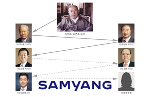 [K백년기업] 삼양그룹② 형제경영 전통···7대, 여성 회장 탄생하나 - 뉴스 썸네일 이미지